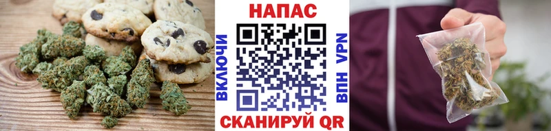 купить наркотики цена  Шадринск  Canna-Cookies конопля 