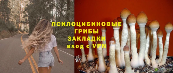 крисы Балабаново